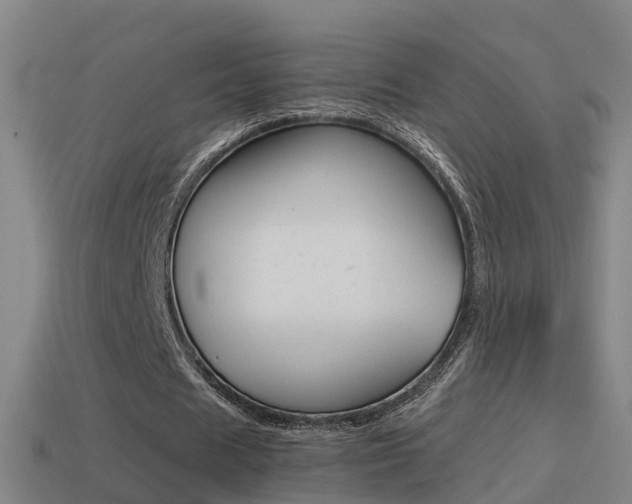 X0000114410625200910161032