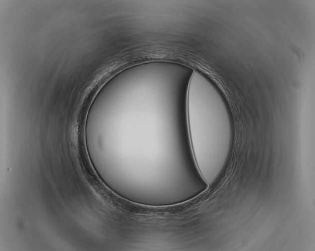 X0000114410626200910161032