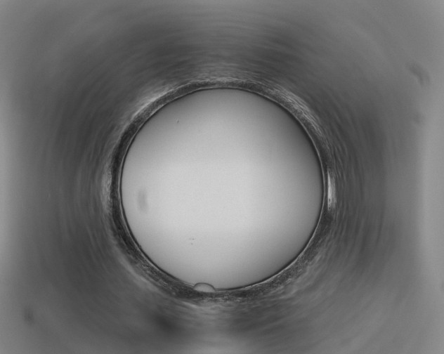 X0000114410627200910161032