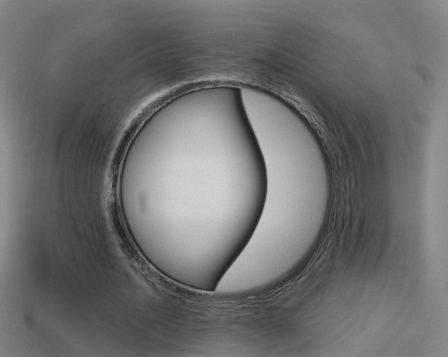 X0000114410628200910161032