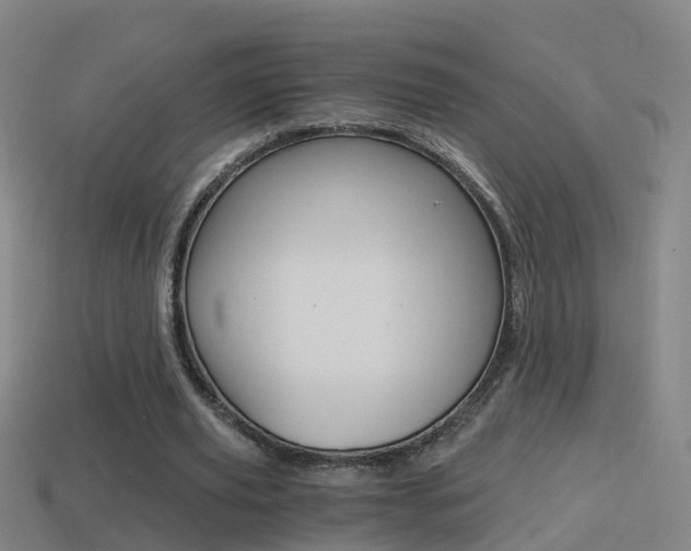 X0000114410629200910161032