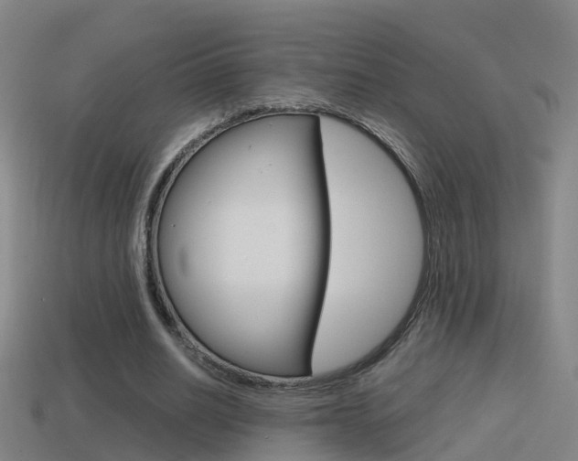 X0000114410630200910161032
