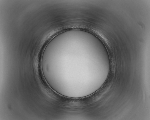X0000114410631200910161032