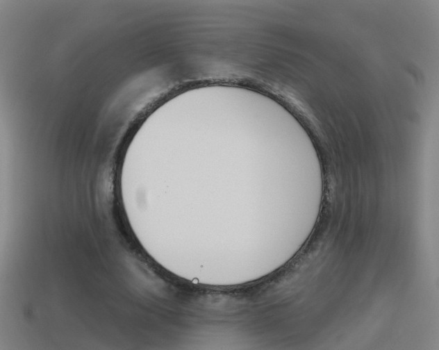 X0000114410632200910161032