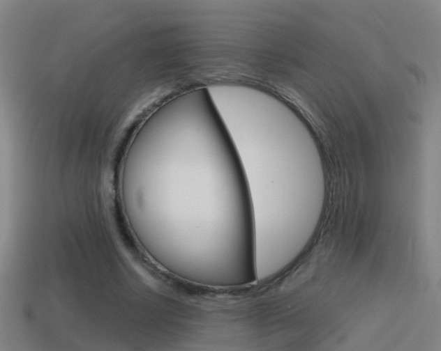 X0000114410634200910161032