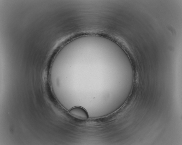 X0000114410636200910161032