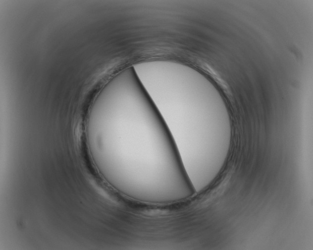 X0000114410637200910161033