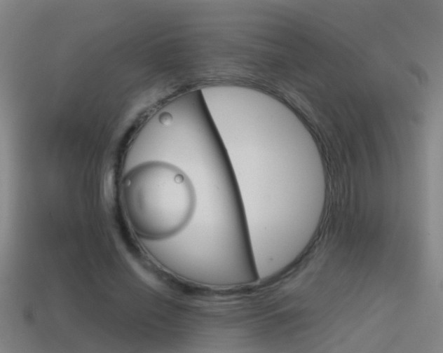 X0000114410638200910161033