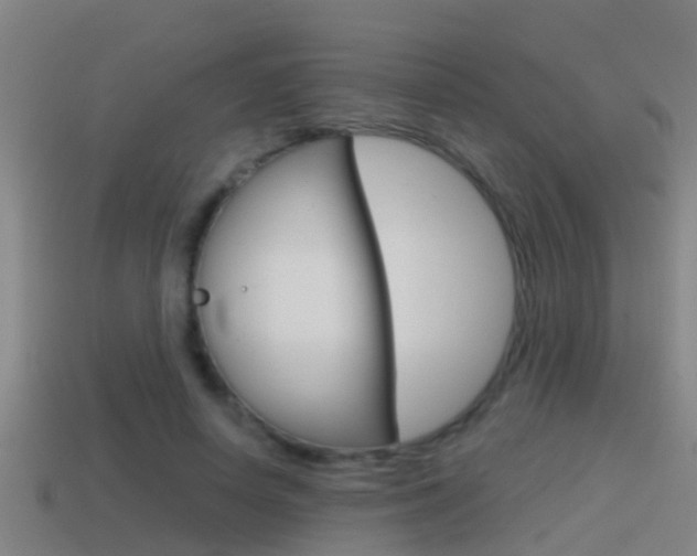 X0000114410642200910161033