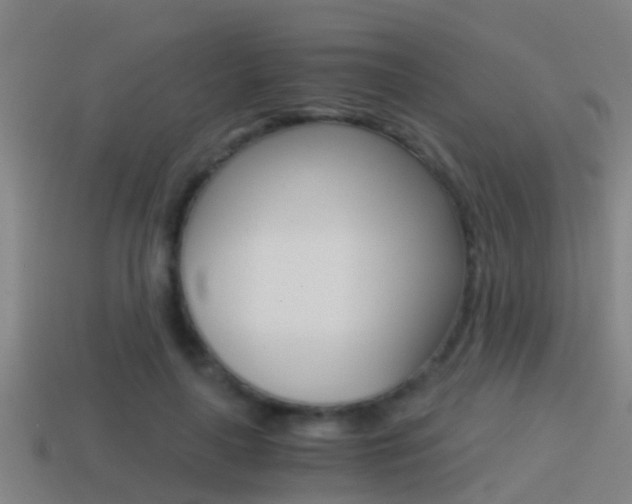 X0000114410643200910161033