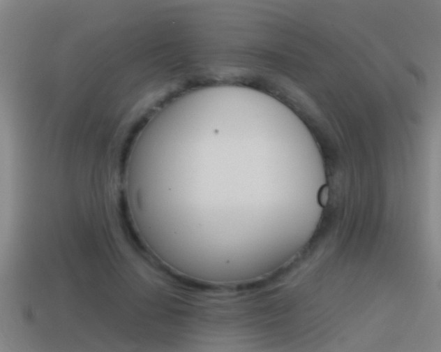 X0000114410644200910161033