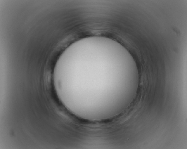 X0000114410646200910161033