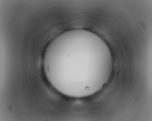 X0000114410647200910161033