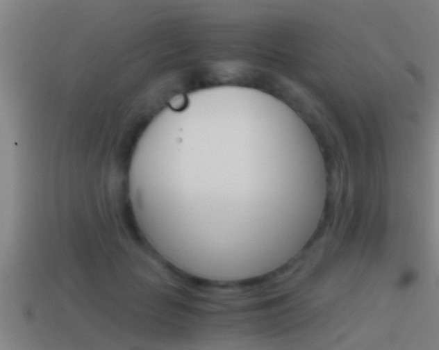 X0000114410653200910161033
