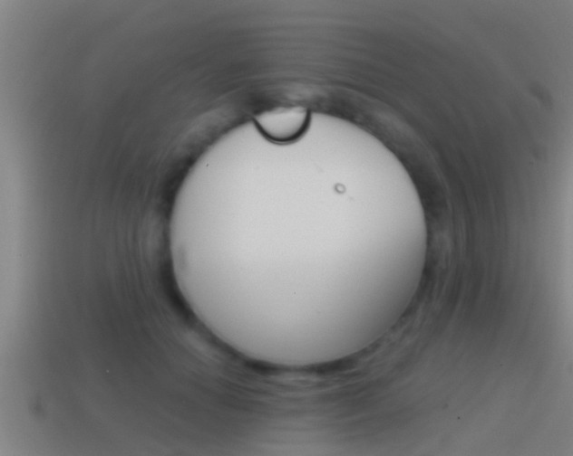 X0000114410654200910161033