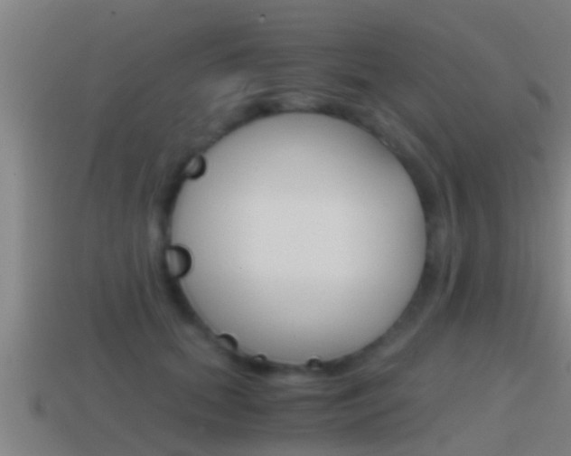 X0000114410655200910161033