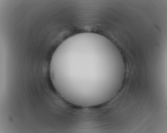 X0000114410656200910161033