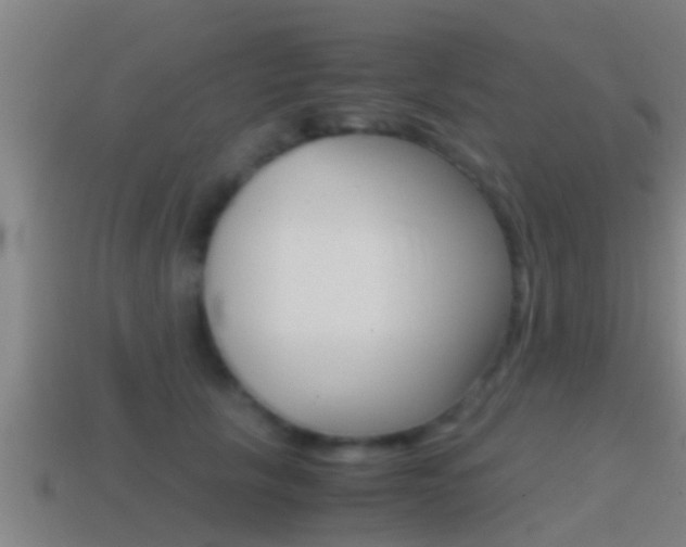 X0000114410657200910161033
