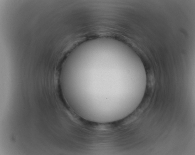 X0000114410664200910161033