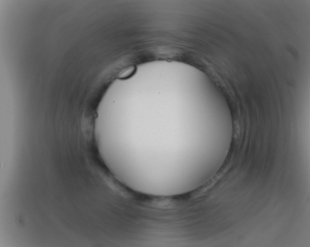 X0000114410666200910161033