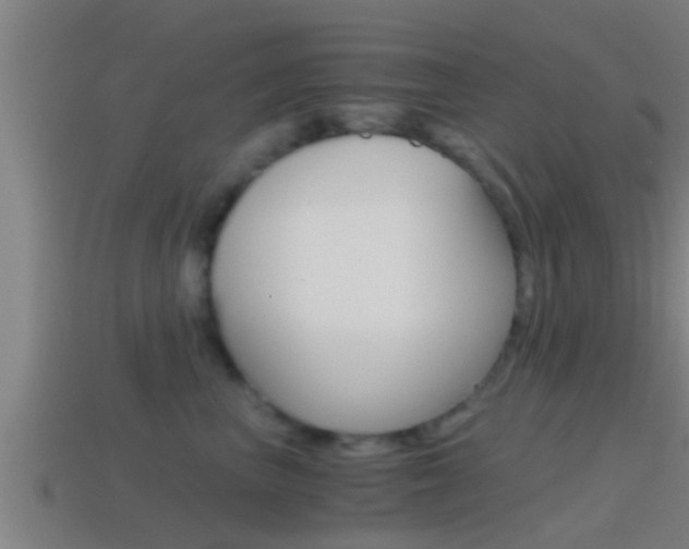 X0000114410667200910161033