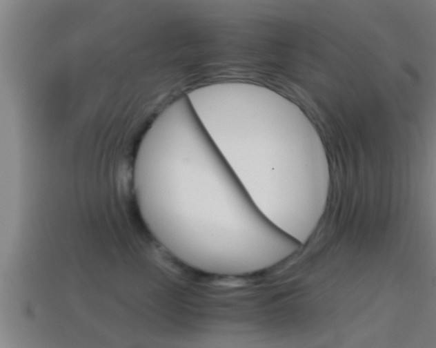 X0000114410669200910161033