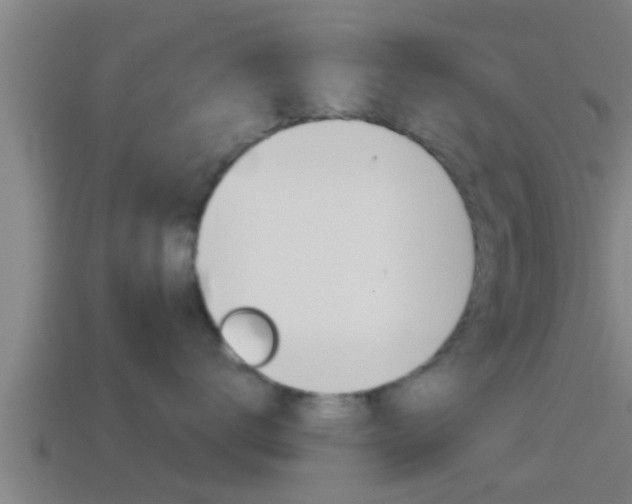 X0000114410672200910161033