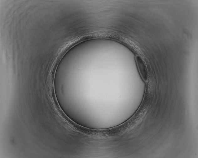 X0000114410673200910161032