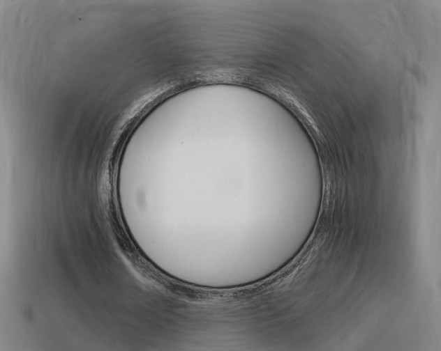 X0000114410674200910161032