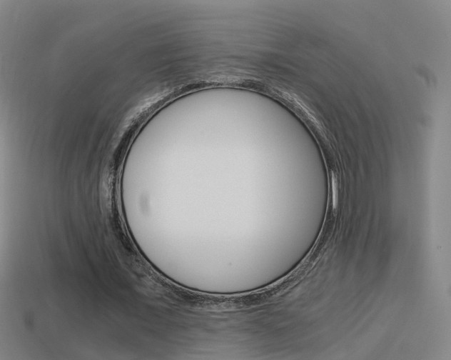 X0000114410675200910161032