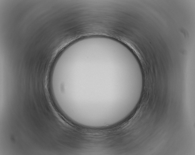 X0000114410677200910161032