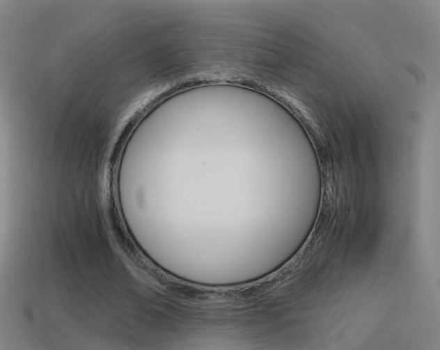 X0000114410678200910161032