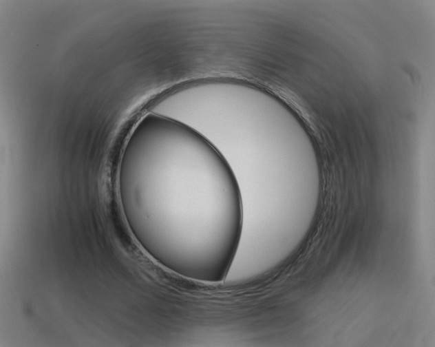 X0000114410680200910161032