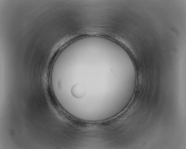 X0000114410682200910161032