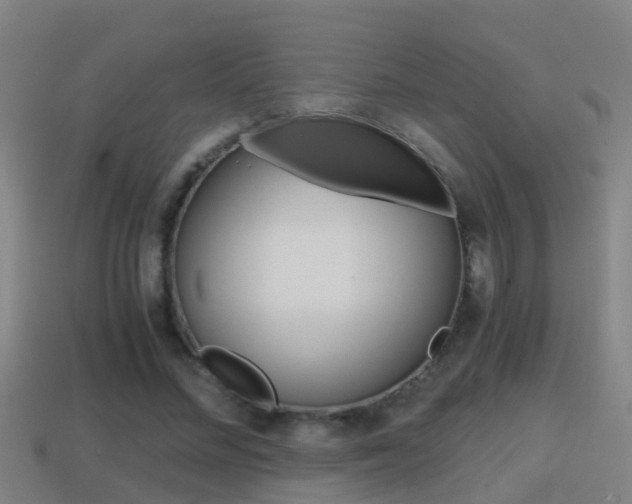 X0000114410684200910161032