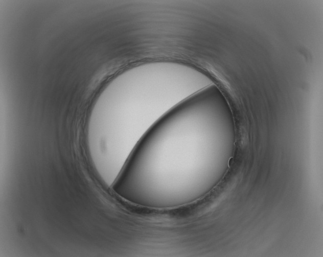 X0000114410685200910161032