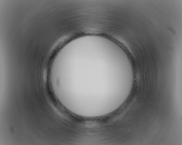 X0000114410686200910161032