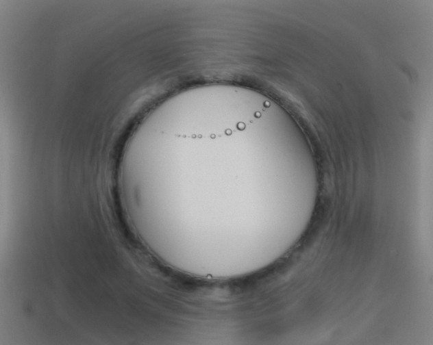 X0000114410687200910161032