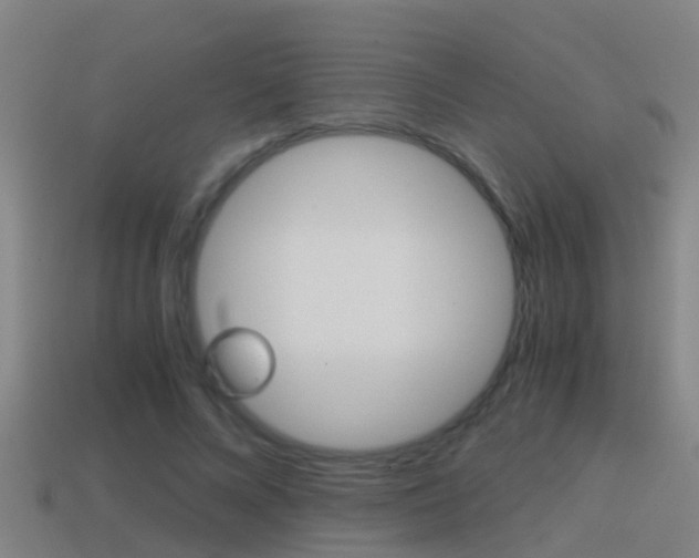 X0000114410688200910161032