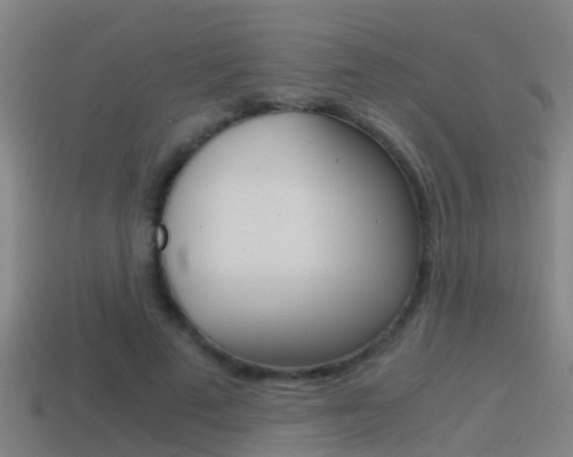 X0000114410689200910161032