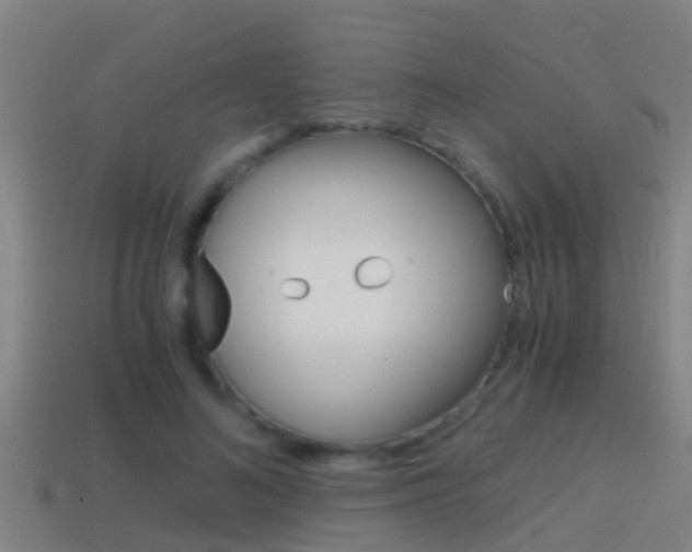 X0000114410692200910161032