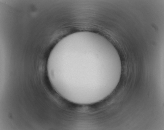 X0000114410695200910161032