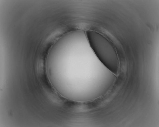 X0000114410696200910161032
