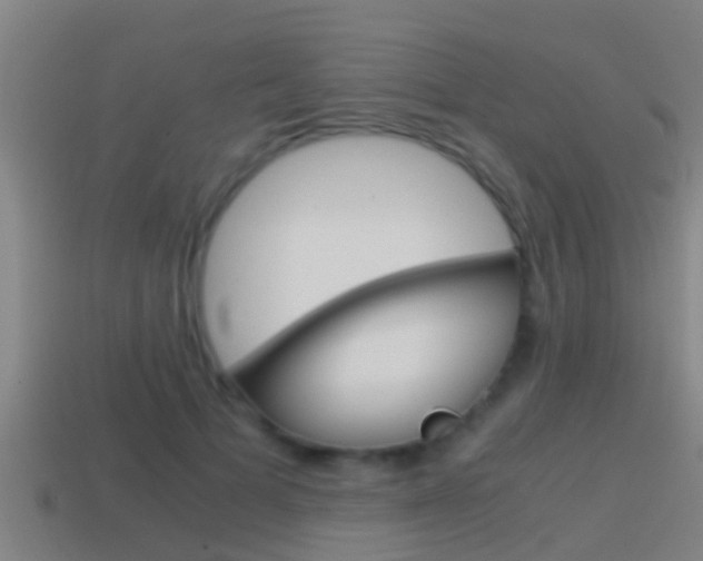 X0000114410697200910161032