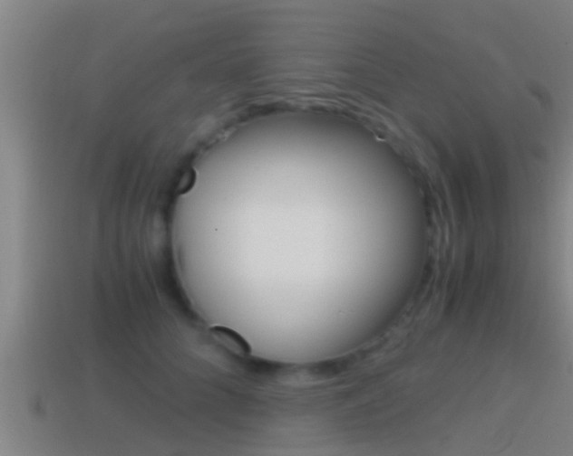 X0000114410704200910161032