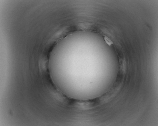 X0000114410712200910161032