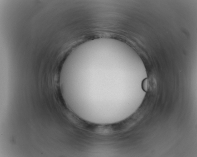 X0000114410714200910161032