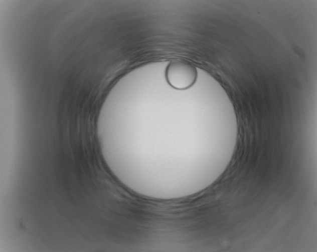 X0000114410716200910161032