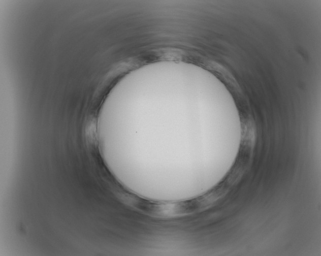 X0000114410717200910161032
