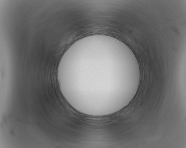 X0000114410720200910161032